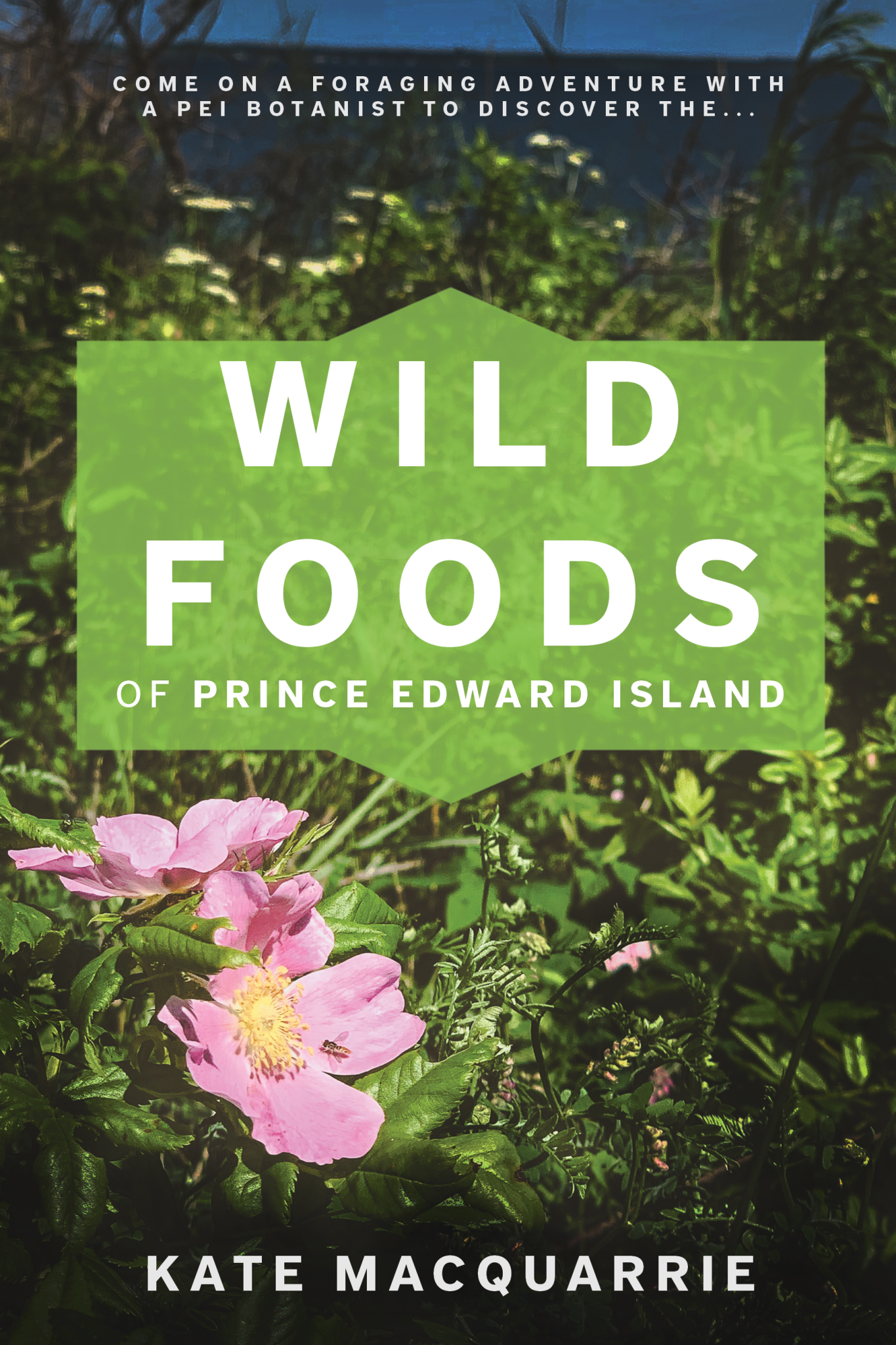 Wild Food Wild Foods of Prince Edward Island – Canadian Cookbooks